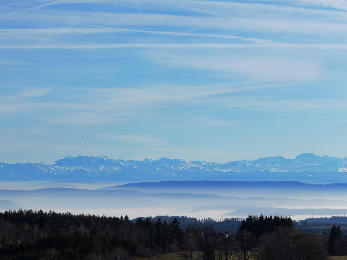 Heimatliebe Mit Alpenblick Apartment